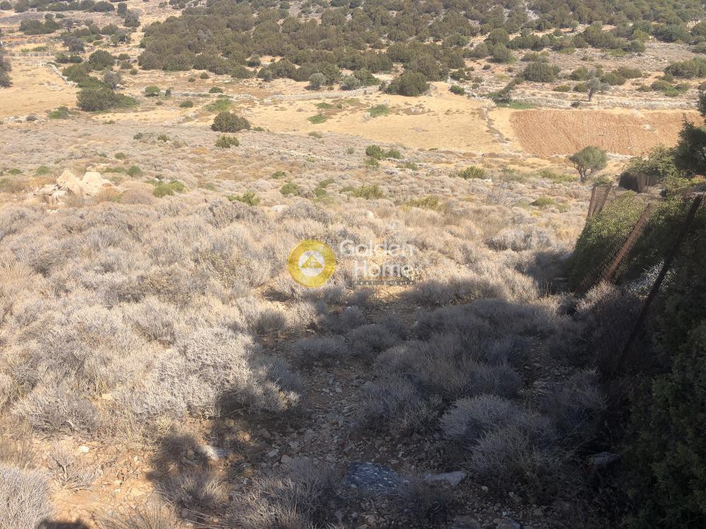 Αγροτεμάχια 24.000 τ.μ. προς πώληση, Λεύκες Πάρου