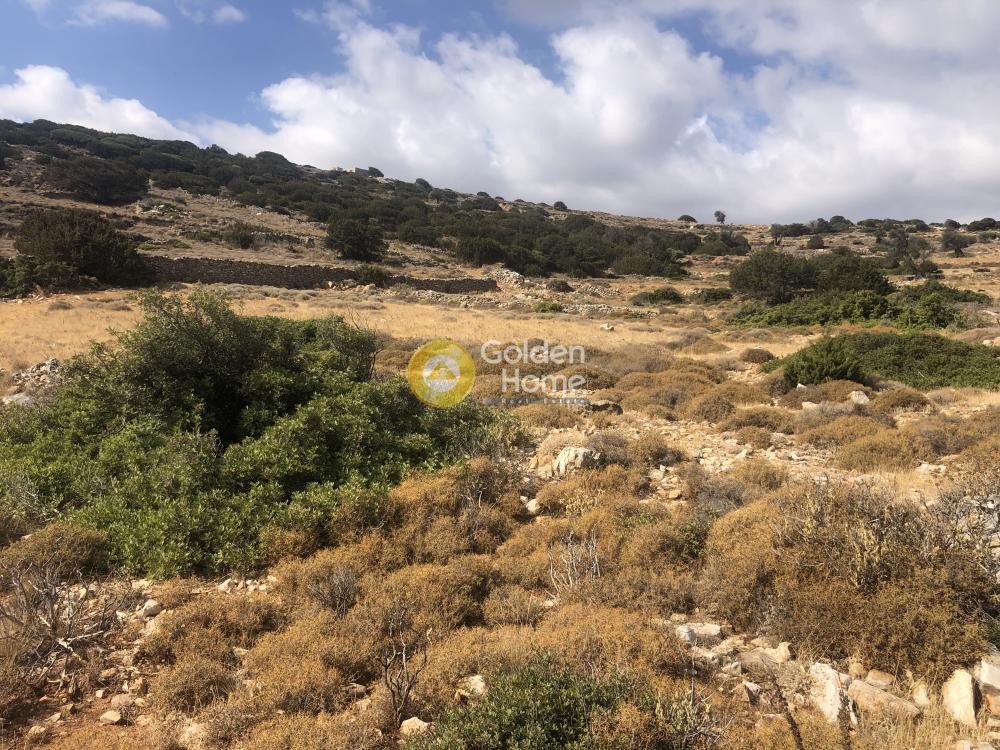 Αγροτεμάχια 24.000 τ.μ. προς πώληση, Λεύκες Πάρου