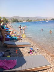 Επιχείρηση 500 τ.μ. για πώληση, Αχαΐα, Αιγιάλεια-thumb-2