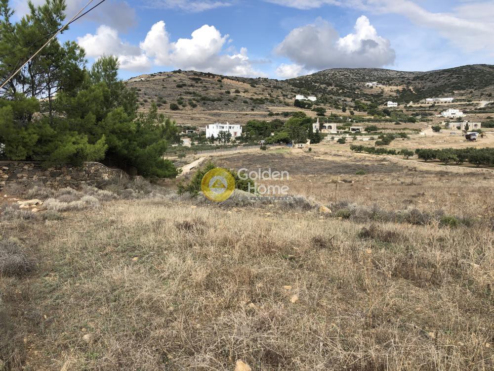 Αγροτεμάχια 4.200 τ.μ. προς πώληση, Αγκαιριά