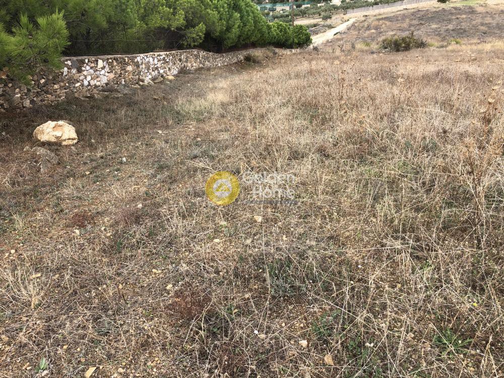 Αγροτεμάχια 4.200 τ.μ. προς πώληση, Αγκαιριά