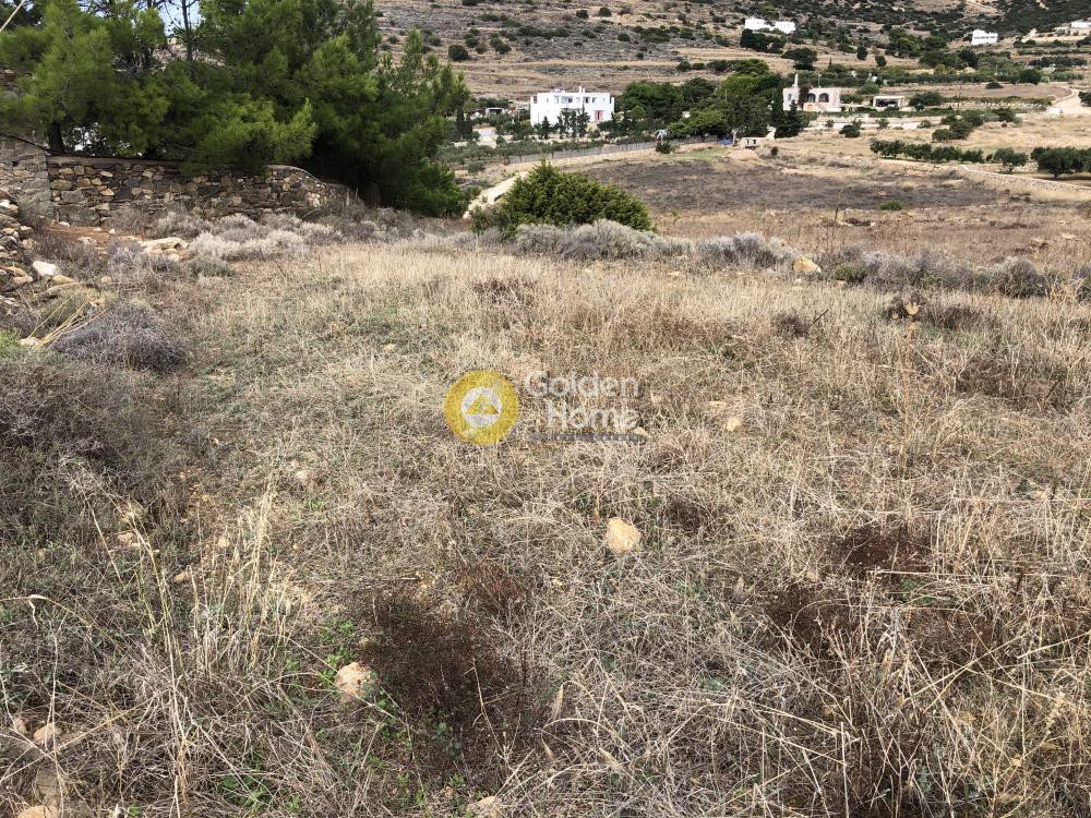 Αγροτεμάχια 4.200 τ.μ. προς πώληση, Αγκαιριά
