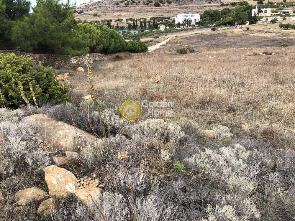 Αγροτεμάχια 4.200 τ.μ. προς πώληση, Αγκαιριά