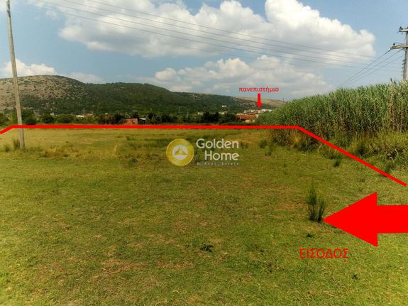 Parcel 8.155 sqm for rent, Ioannina Prefecture, Mpizanio