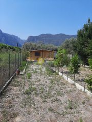 Αγροτεμάχια 600 τ.μ. για πώληση
