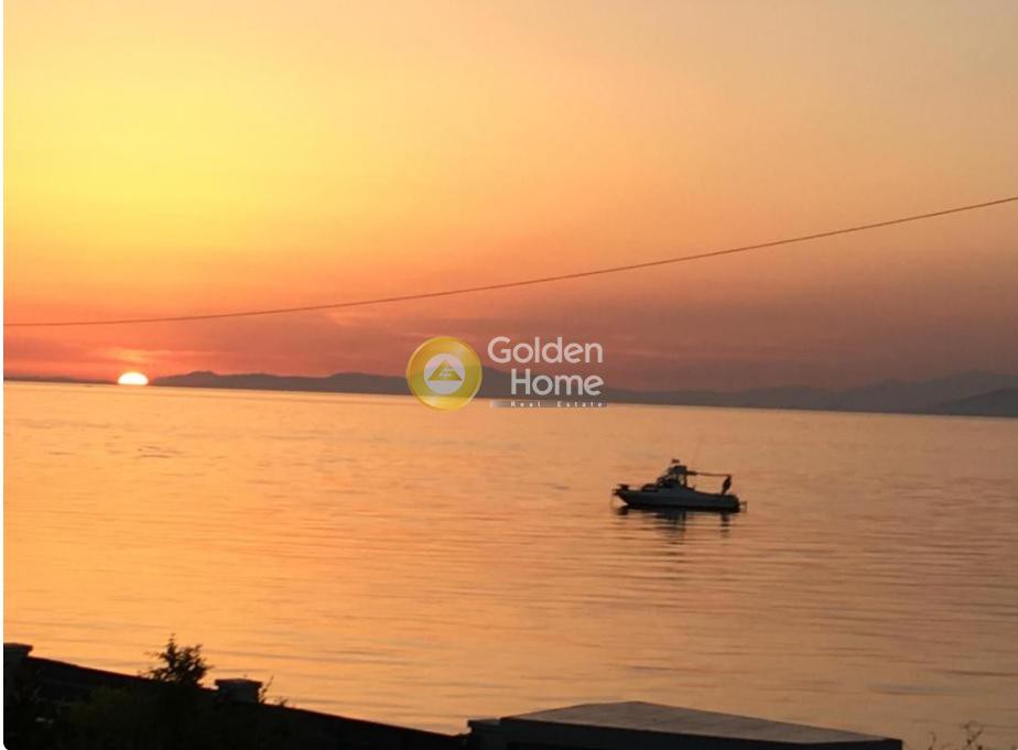 Μονοκατοικία 295 τ.μ. προς πώληση, Μιντιλόγλι
