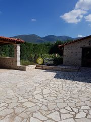Συγκρότημα διαμερισμάτων 200 τ.μ. για πώληση, Φωκίδα, Παρνασσός-thumb-11