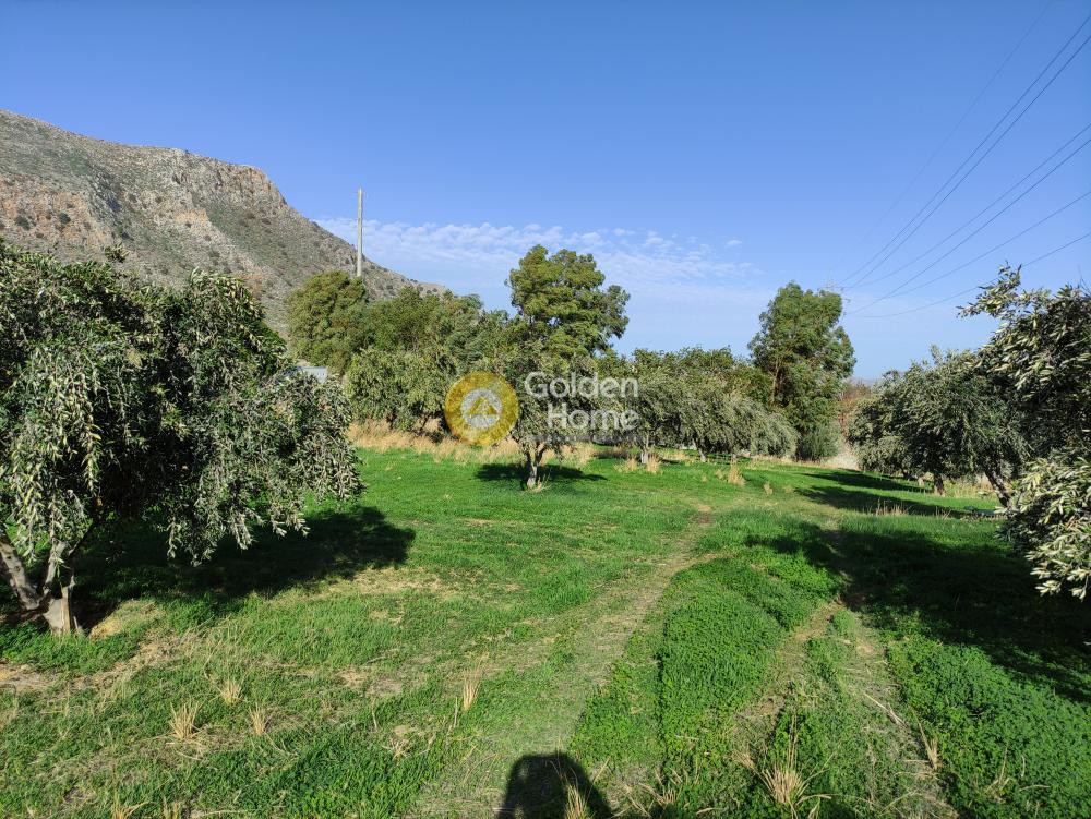 Οικόπεδο 6.500 τ.μ. προς ενοικίαση, Ν. Ηρακλείου, Γάζι