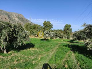 Οικόπεδο 6.500 τ.μ. για ενοικίαση