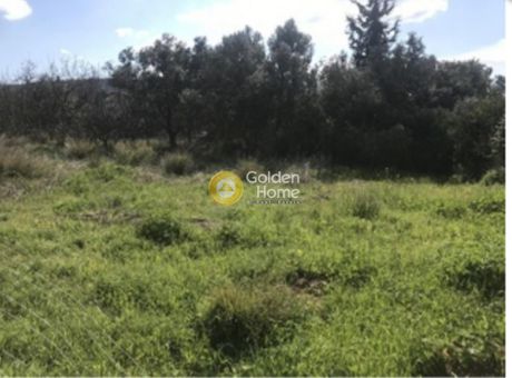 Land plot 300 sqm for sale