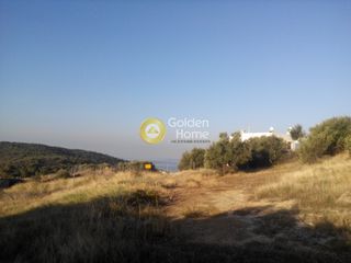 Οικόπεδο 1.250 τ.μ. για πώληση