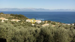 Αγροτεμάχια 5.491 τ.μ. για πώληση