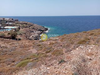 Αγροτεμάχια 4.900 τ.μ. για πώληση