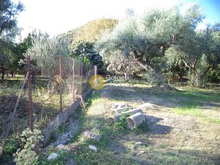 Αγροτεμάχια 15.300 τ.μ. για πώληση