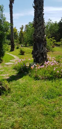 Land plot 6.250 sqm for sale, Corfu Prefecture, Corfu
