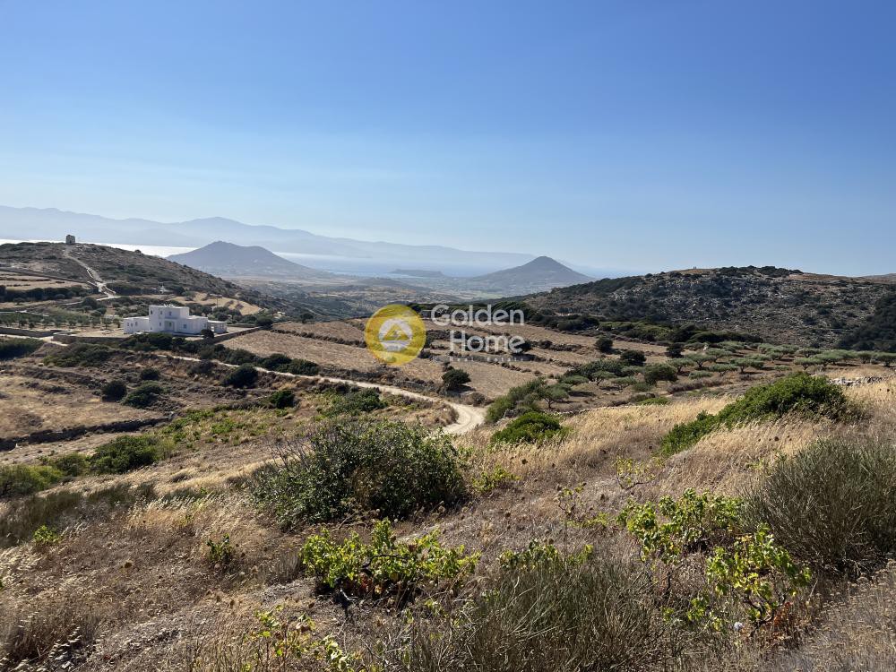 Αγροτεμάχια 10.613 τ.μ. προς πώληση, Κώστος