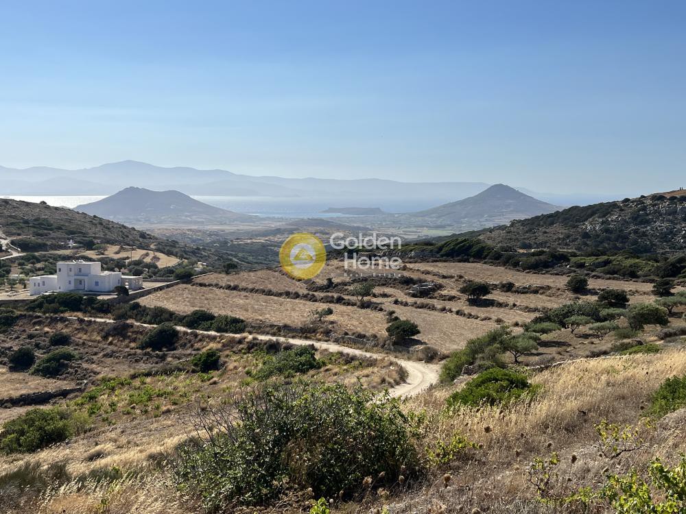 Αγροτεμάχια 10.613 τ.μ. προς πώληση, Κώστος