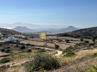 Αγροτεμάχια 10.613 τ.μ. για πώληση