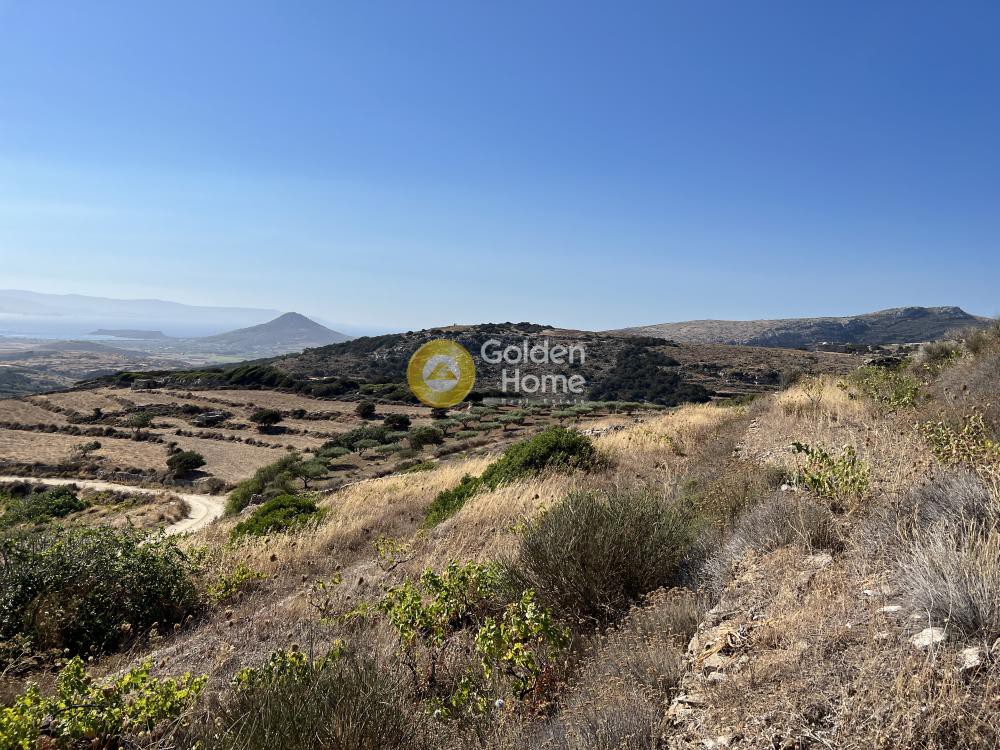 Αγροτεμάχια 10.613 τ.μ. προς πώληση, Κώστος