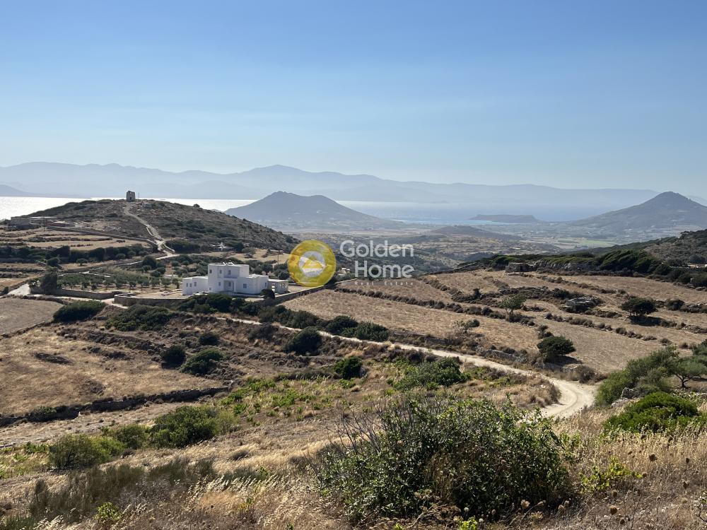 Αγροτεμάχια 10.613 τ.μ. προς πώληση, Κώστος