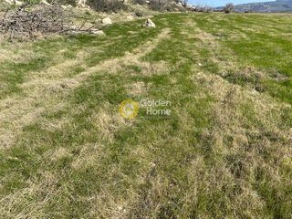 Αγροτεμάχια 19.000 τ.μ. για πώληση