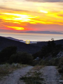 Αγροτεμάχια 107.000 τ.μ. για πώληση