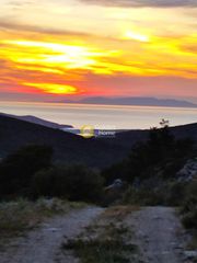 Αγροτεμάχια 107.000 τ.μ. για πώληση