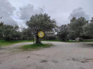 Οικόπεδο 3.880 τ.μ. για πώληση