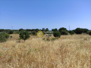 Οικόπεδο 4.400 τ.μ. για πώληση