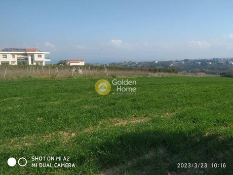 Αγροτεμάχια 14.400 τ.μ. για πώληση