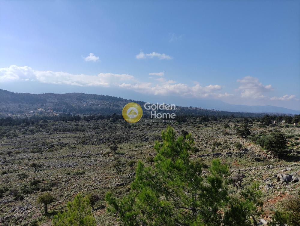 Οικόπεδο 144.667 τ.μ. προς πώληση, Κεφαλάς Βάμου