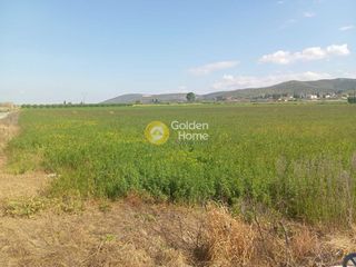 Αγροτεμάχια 25.000 τ.μ. για πώληση