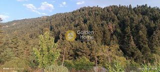 Οικόπεδο 11.000 τ.μ. για πώληση, Αρκαδία, Λαγκαδιά-thumb-17