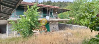 Οικόπεδο 11.000 τ.μ. για πώληση, Αρκαδία, Λαγκαδιά-thumb-2