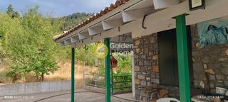 Οικόπεδο 11.000 τ.μ. για πώληση, Αρκαδία, Λαγκαδιά-thumb-7