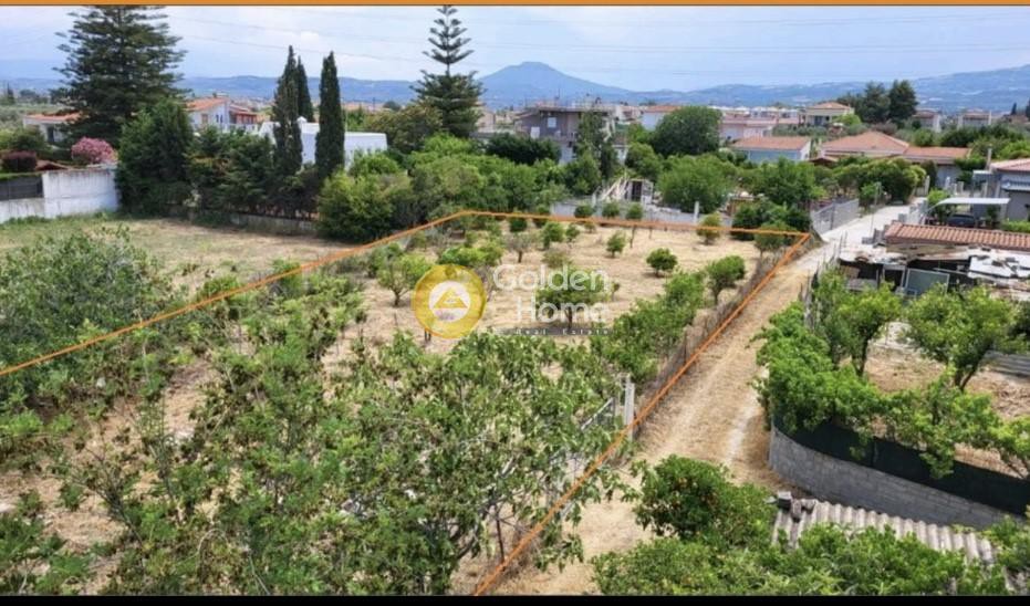 Οικόπεδο 1.334 τ.μ. προς πώληση, Κρήνες