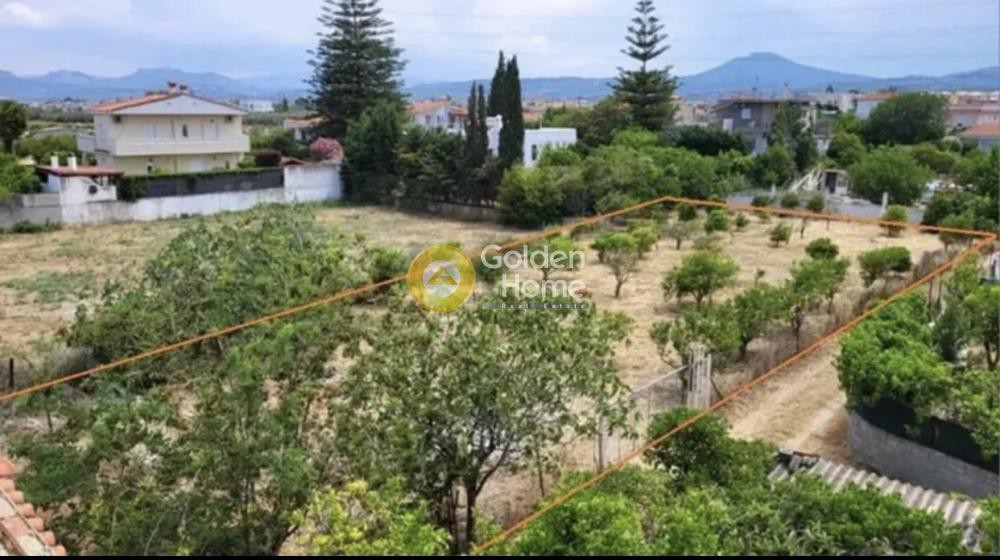 Οικόπεδο 1.334 τ.μ. προς πώληση, Κρήνες