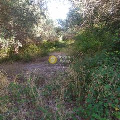 Αγροτεμάχια 9.593 τ.μ. για πώληση, Ν. Ρεθύμνου, Λάππα-thumb-10