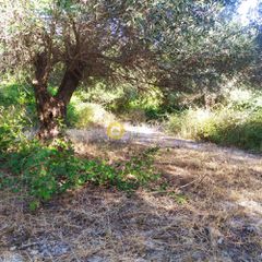 Αγροτεμάχια 9.593 τ.μ. για πώληση, Ν. Ρεθύμνου, Λάππα-thumb-7