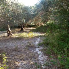Αγροτεμάχια 9.593 τ.μ. για πώληση, Ν. Ρεθύμνου, Λάππα-thumb-14