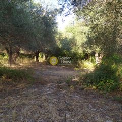 Αγροτεμάχια 9.593 τ.μ. για πώληση, Ν. Ρεθύμνου, Λάππα-thumb-6