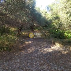 Αγροτεμάχια 9.593 τ.μ. για πώληση, Ν. Ρεθύμνου, Λάππα-thumb-12