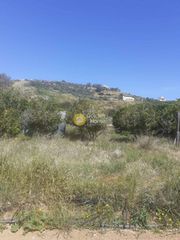 Αγροτεμάχια 719 τ.μ. για πώληση