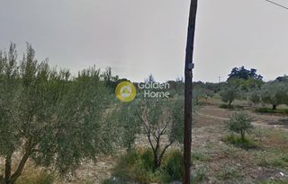 Οικόπεδο 2.500 τ.μ. για πώληση