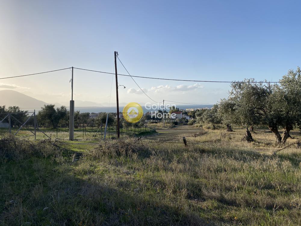 Οικόπεδο 1.378 τ.μ. προς πώληση, Κέντρο Νέας Αρτάκης