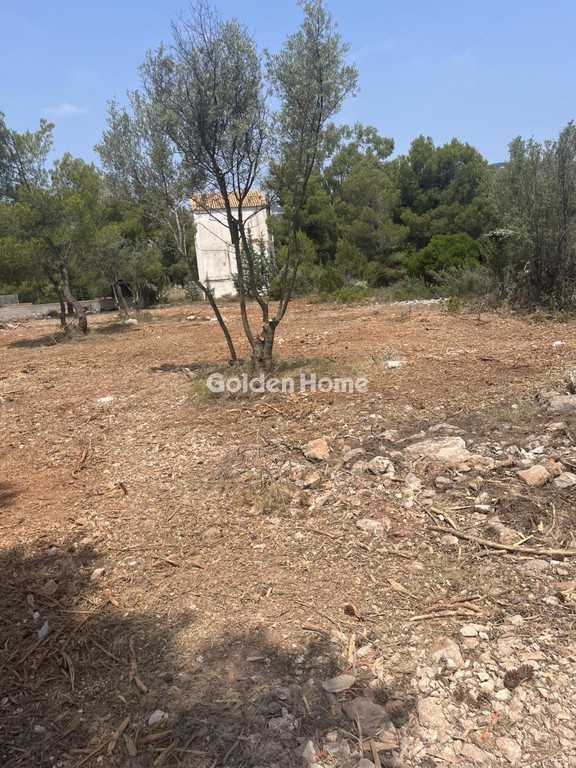 Οικόπεδο 4.000 τ.μ. προς ενοικίαση, Φθιώτιδας, Αταλάντη