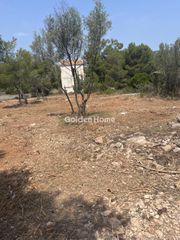 Οικόπεδο 4.000 τ.μ. για ενοικίαση, Φθιώτιδας, Αταλάντη-thumb-1