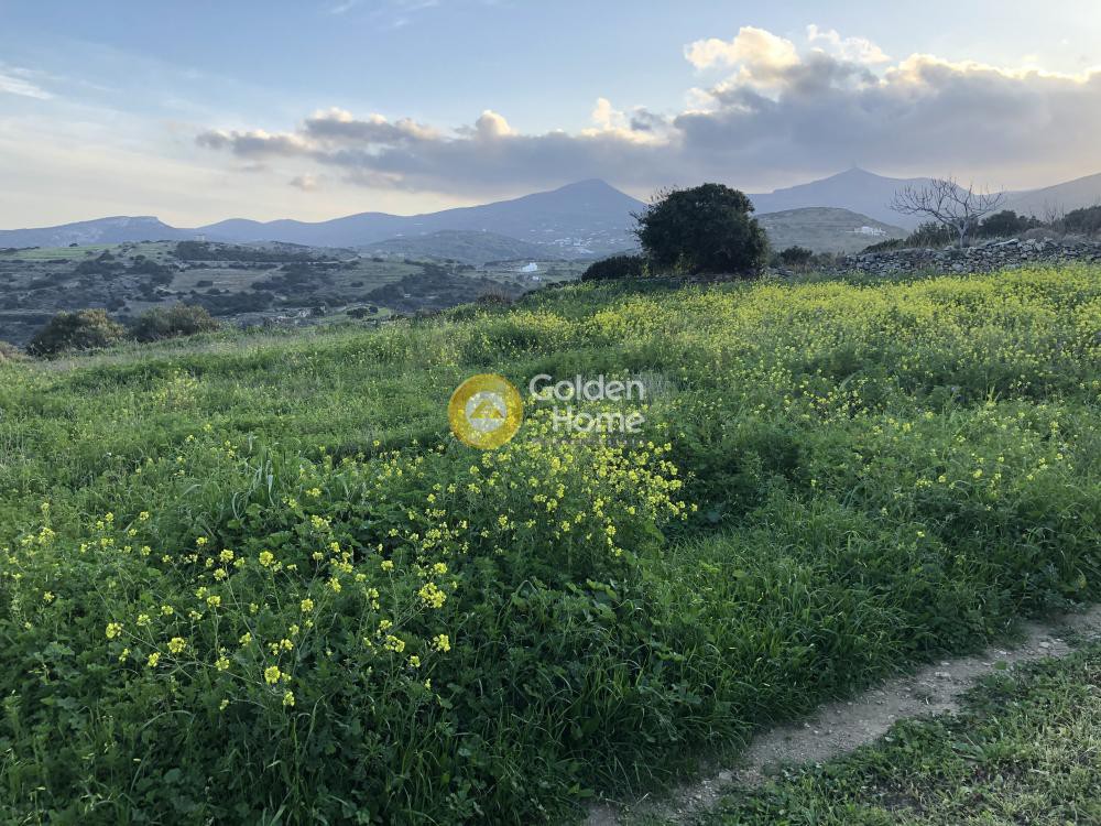 Οικόπεδο 16.000 τ.μ. προς πώληση, Κώστος