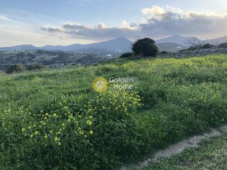 Οικόπεδο 16.000 τ.μ. για πώληση