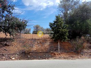 Οικόπεδο 1.000 τ.μ. προς πώληση, Κλήμα Τυμπακίου-thumb-2